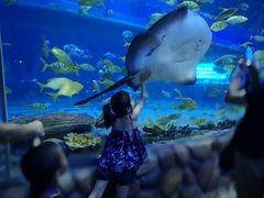 -华夏文旅海洋公园