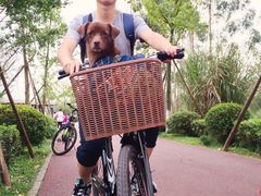 -白鹭湾湿地公园