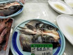 -大清花饺子(五五路店)