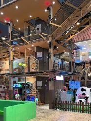 -卡通尼·Safari非洲探索乐园·生日会(金桥国际商业广场店)