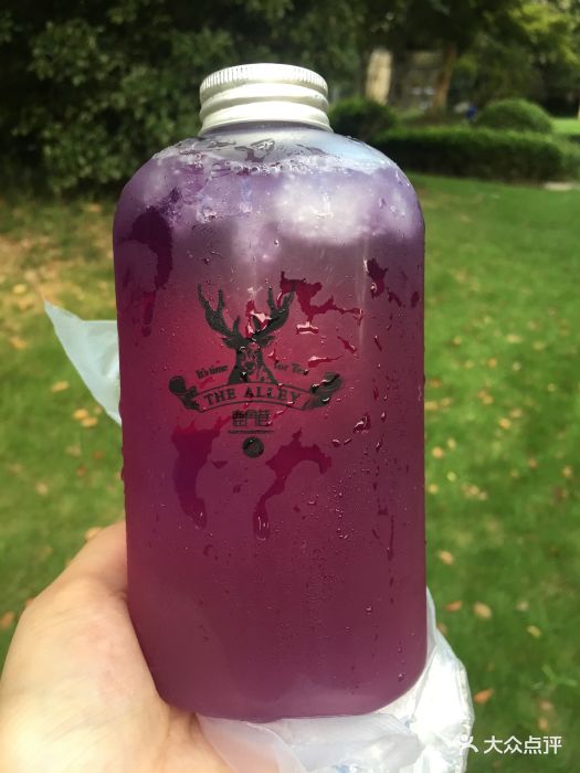 鹿角巷the alleey(七宝店)北极光图片 - 第1张