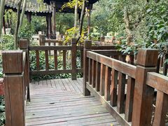 -上海佘山国家森林公园天马山园