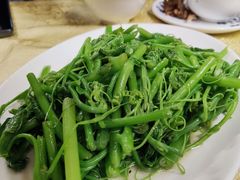 蒜蓉炒佛手瓜叶-粤友餐厅