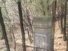 -阳台山自然风景区