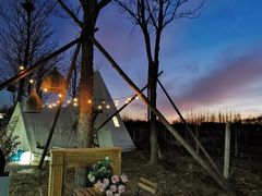 -安德鲁户外烧烤帐篷营地(马泉营店)