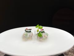 -觀芷隐轩