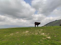 -新疆那拉提国家旅游度假区
