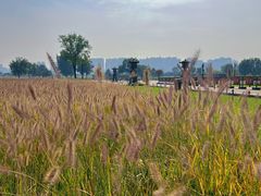 -汉长安城未央宫国家考古遗址公园