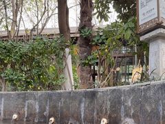 -西安国际创新人才交流中心•药浴温泉
