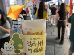 -猫的魔法密林(衣裳街店)