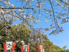 -上野公园花园稻荷神社(忍岡稲荷神社)