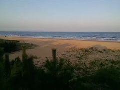 -日照海滨国家森林公园