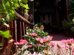 -龙源茶坊(白银路店)