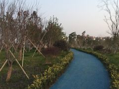 -艾溪湖湿地公园