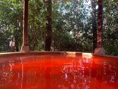 -天目湖涵田半山温泉