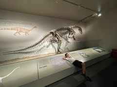 -自贡恐龙博物馆