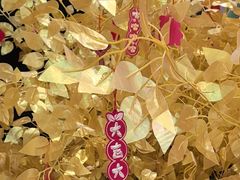 -万达广场(龙湖店)