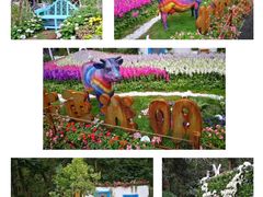 -深圳仙湖植物园