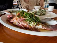 红湄鲷-南蚝小贝海鲜特色餐厅(南澳岛店)
