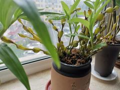 -上和臻品中国菜(花园街店)