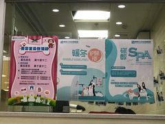 -美联众合动物医院·24h京西诊疗中心