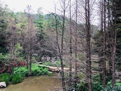 -云溪植物园