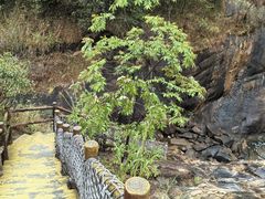 -广州白江湖森林公园