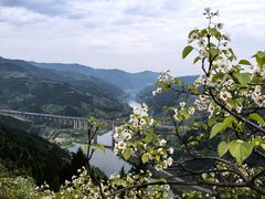 -舒家湾天主教堂