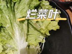 超值蔬菜拼-呷哺呷哺 黄金牧场 (新中关购物中心店)