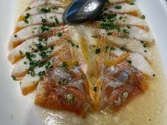 彩虹斑-骏莱海鲜鱼港(五角场店)