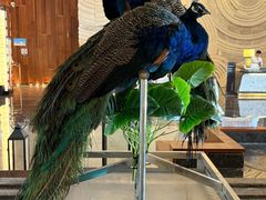 -西双版纳融创皇冠假日度假酒店