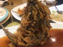 糖醋鲤鱼-崔义清鲁菜馆(大明湖店)