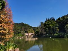 -云溪植物园