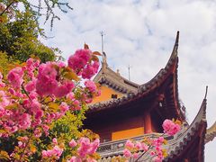 -龙华寺