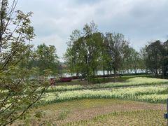 -中国天府农业博览园