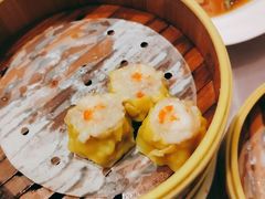 -宝燕壹号(徐汇店)