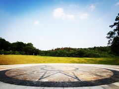 -大塘金香草谷