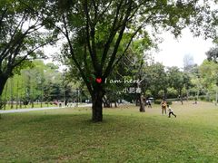 -晓港公园