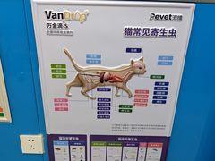 -康爱犬猫诊所·牙专科·骨外科·影像内科(丰宁店)