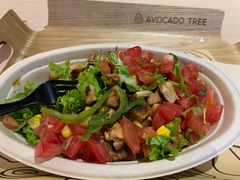 -油梨树AVOCADO TREE(嘉里中心店)