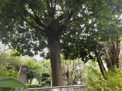 -广州神农草堂中医药博物馆
