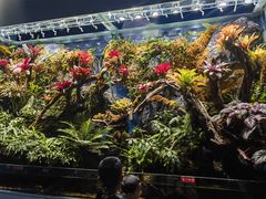 -海合安青岛极地海洋公园