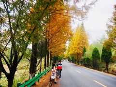 -塔川景区