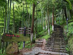 -莫干山风景区