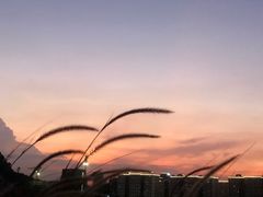 -白石龙音乐公园