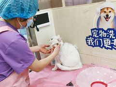 -北京观赏动物医院·24小时大型综合·猫专科·异宠专科