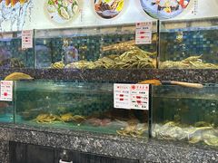 -宝燕壹号(徐汇店)