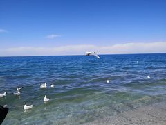 -青海湖二郎剑景区