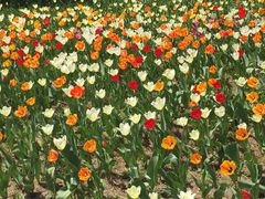 -长春公园(普阳街道)