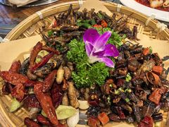 -亮欢寨(凯里总店)